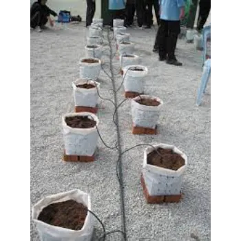 Fertigation System